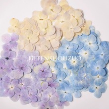 淡蓝色绣球干花压花diys手工材料真花滴胶ins杯垫幼儿园手工沙龙