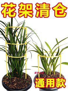 ����֧��зצ�m�̶���֧�ΗU�������ԾGֲ�m�����o�~������֧�μ�