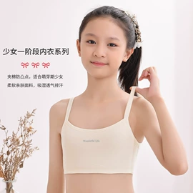 女士三角裤;女士丁字裤;少女文胸