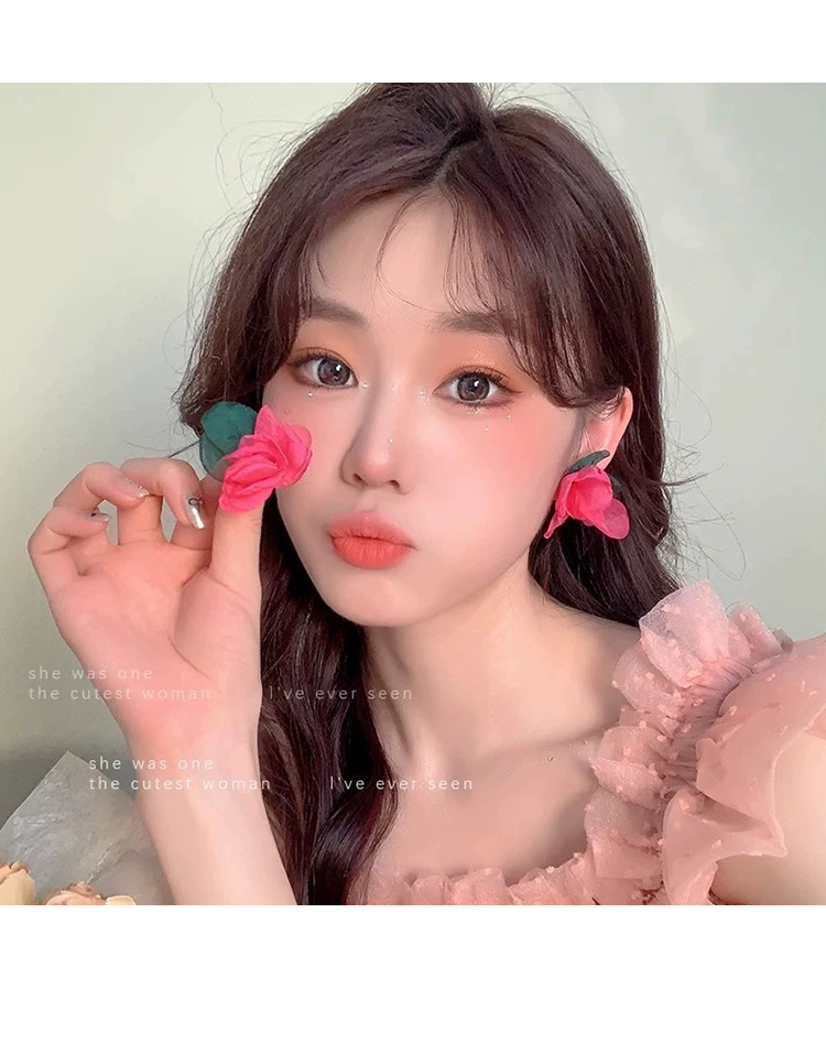 Women's Gender 1 Pair Cute Sweet Geometric Flower Alloy Cloth Drop Earrings Ear Studs
