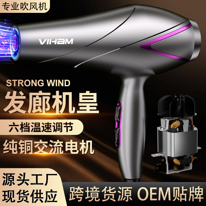 Cross-Border Hair Salon High-Power Hair Dryer Household High-Wind Hot and Cold Wind Hair Dryer Speed-Drying Blue Light Hair Care Hair Dryer