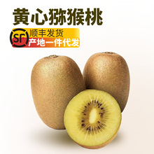 【顺丰快递】正宗黄心猕猴桃四川蒲江奇异果新鲜水果时令批发包邮