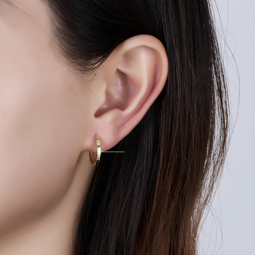 Cross-border exclusive round hoop 925 silver earrings, high-end ear clips, colored zirconia jewelry, wholesale for women