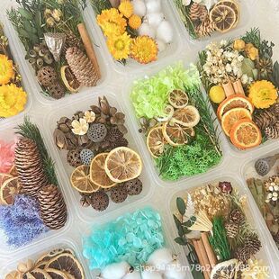 �ɹ��ɻ�diy���ϰ���Ȼֲ���L���}�Q�ɹ��ֹ�ɏ���b[��������