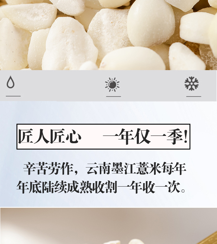 Yunnan Old Variety Coix Seed Broken Job's Tears Mojiang Glutinous Coix Grain 500g details