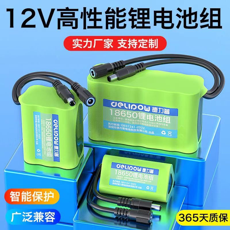 Delip 12V Lithium Battery Led Light Strip Outdoor Audio Battery Rechargeable 12V 18650 Lithium Battery Pack