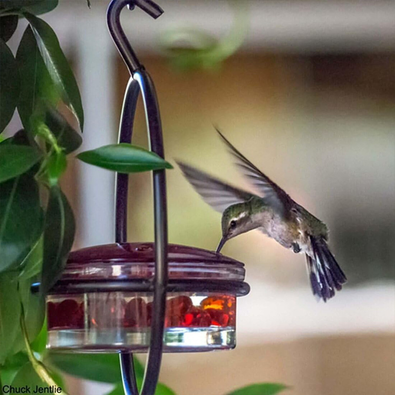 [Metal Hummingbird Water Feeder ]