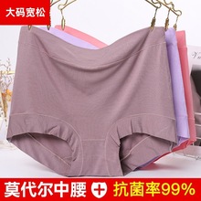 超大码女士内裤女纯色高弹力高腰不卡档舒适透气大妈胖mm裤头跨境
