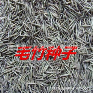 �²�ժ����ë��N�� ���L�콭����é������S��ʳ����S���ӷN��
