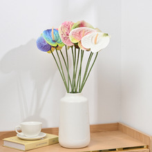 Gֲ֦t Q 3DӡtƷ滨YòüҾb