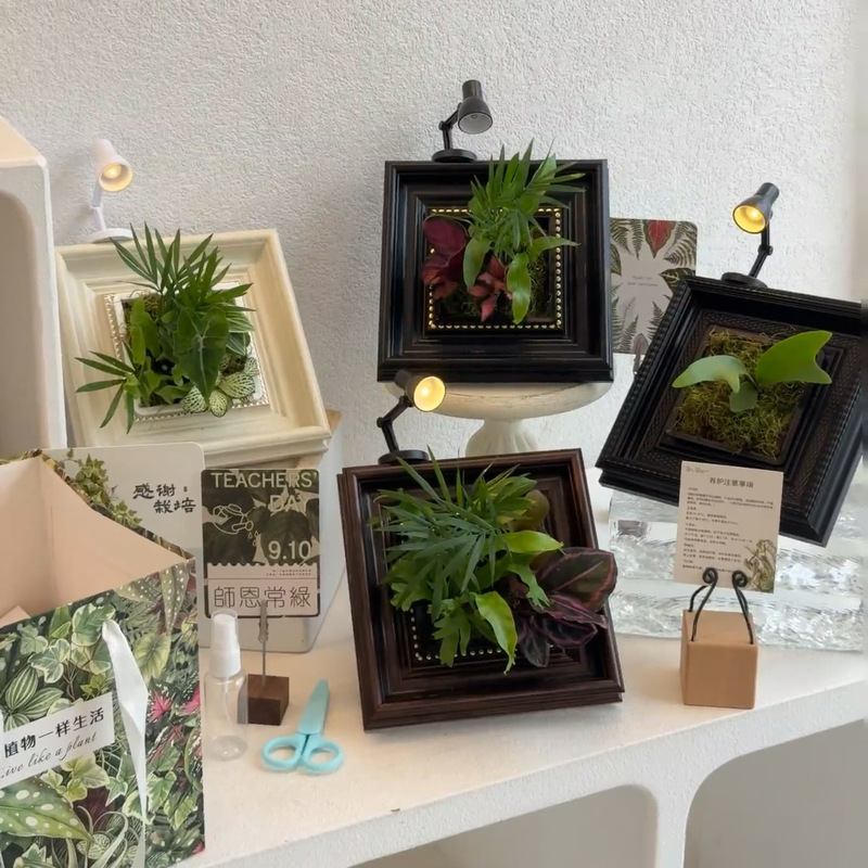 Xiaohongshu's popular flower pot photo frame DIY planting inlay frame gift creative green plant desktop ornament photo frame display stand