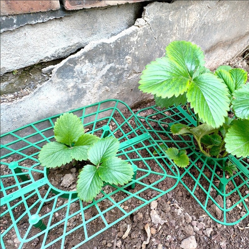 方形草莓托盘架园艺支架防倒伏果实支撑园艺用品草莓种植支撑架子