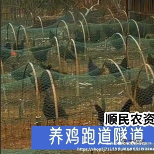 �ߵ��u�Bֳ�����������u�\�ӵ����_�B�u�Ƅ��ܵ�ɢ�B�u