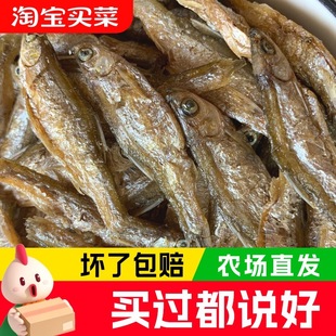 ���ϻ�С�~�ɸ�؛��ˮ�o�}�a�r�Ҳ͗l�~ԭζ��ζС�~�����|