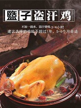 桑拿鸡蒸锅盗汗鸡锅蒸汽锅鸡汽锅养生锅蒸鸡锅隔水炖锅非紫陶瓷气
