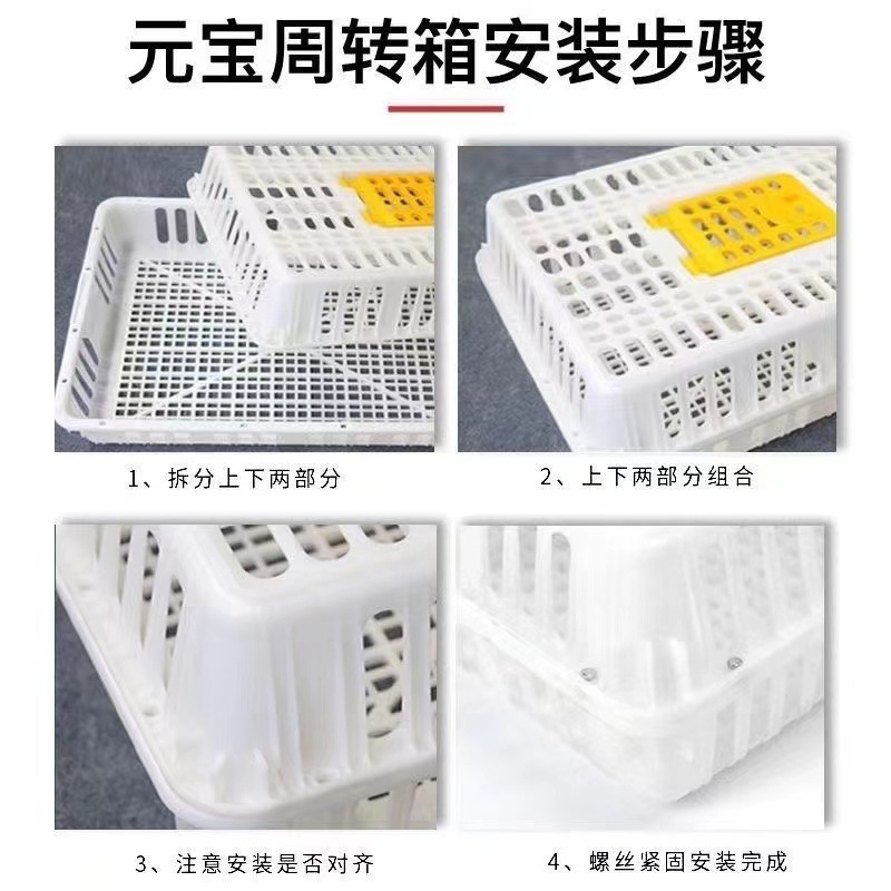 Cesta de caja de pollo de granja para el transporte de caja de rotación de aves de corral de plástico en caja de rotación de palabras de pollo, pato y paloma caja de pollo engrosado para el hogar