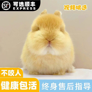 ���ӻ��w����٪���Ì��ﲻҧ�˲豭�����ô����õ������Ӵ��l