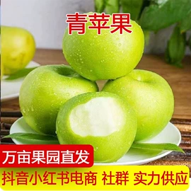 其他水果;桃子;芒果