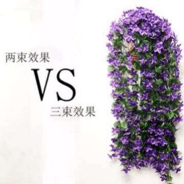 4 보라색 난초를하십시오