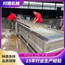 全自动银耳龙须菜气泡清洗机多功能304不锈钢材全自动气泡清洗机