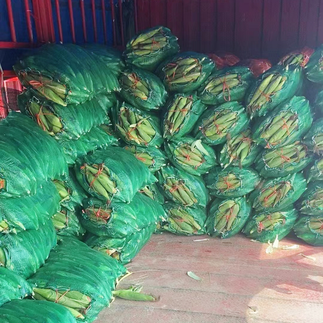 Fabricante al por mayor todo tipo de maíz ajo bolsa de malla bolsa de frutas, patatas, verduras bolsa de malla bolsa de malla de engrosamiento