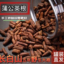 蒲公英根茶野生500g罐装长白山婆婆丁整根正品炒制熟养生茶