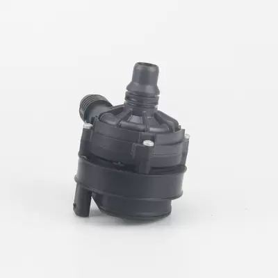Water pump of electronic