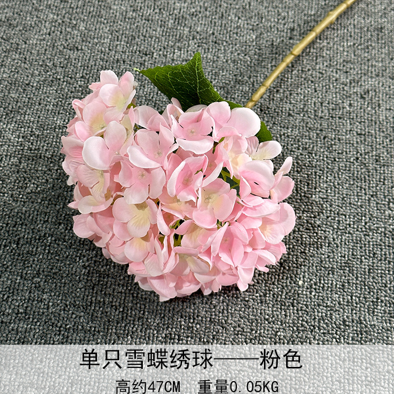 Sola nieve mariposa Hortensia rosa