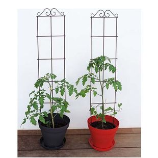 Simple Wrought Iron Balcony Climbing Flower Bracket Indoor Support Clematis