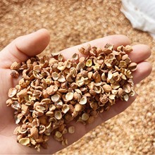 �����ᗗ�����^��о�����Ұ���ᗗ�ʚ� ���|�ᗗ������ ��©��