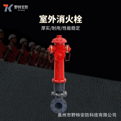 Производитель Custom SS100/65-1.6 Type Type Fire Fire Gudrant Low Lofle Outdoor Fire Gydrant Наружный пожарный гидрант
