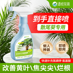 语悦花间散尾葵专用营养液肥料黄叶干叶干尖盆栽室内客厅大号花肥