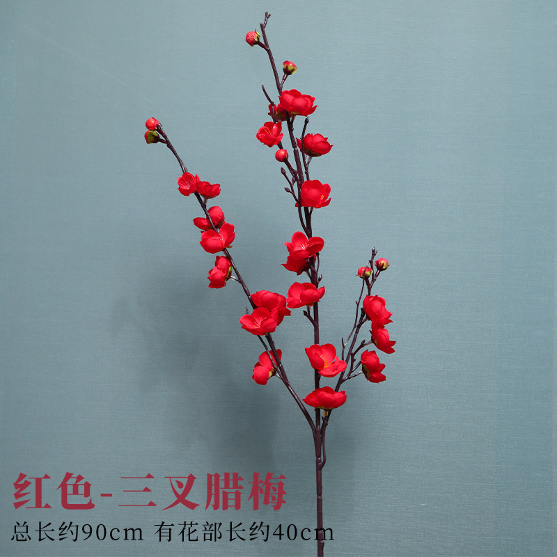 세 갈래의 붉은 자두