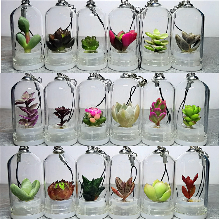 Decorative Gifts Can Be Used to Decorate Craft Gifts, Feed Meat Ornaments, Plant Bags, Creative Mini Key Decompression Decorative Gifts Can Be Used to Decorate Craft Gifts, Feed Meat Ornaments, Plant Bags, Creative Mini Key Decompression