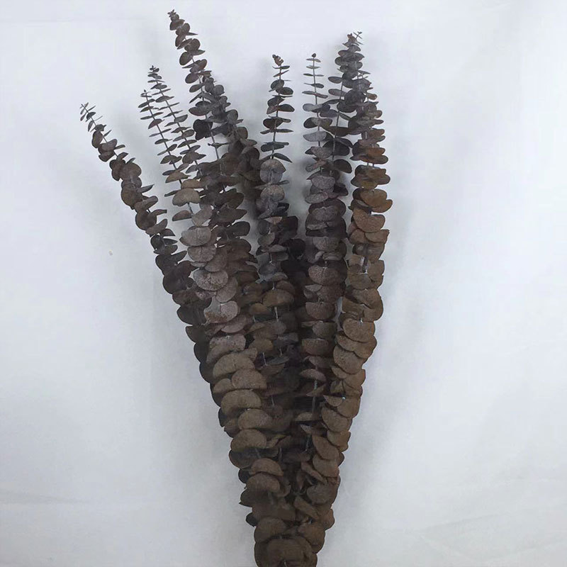 브라운 50CM (10개입 1묶음)