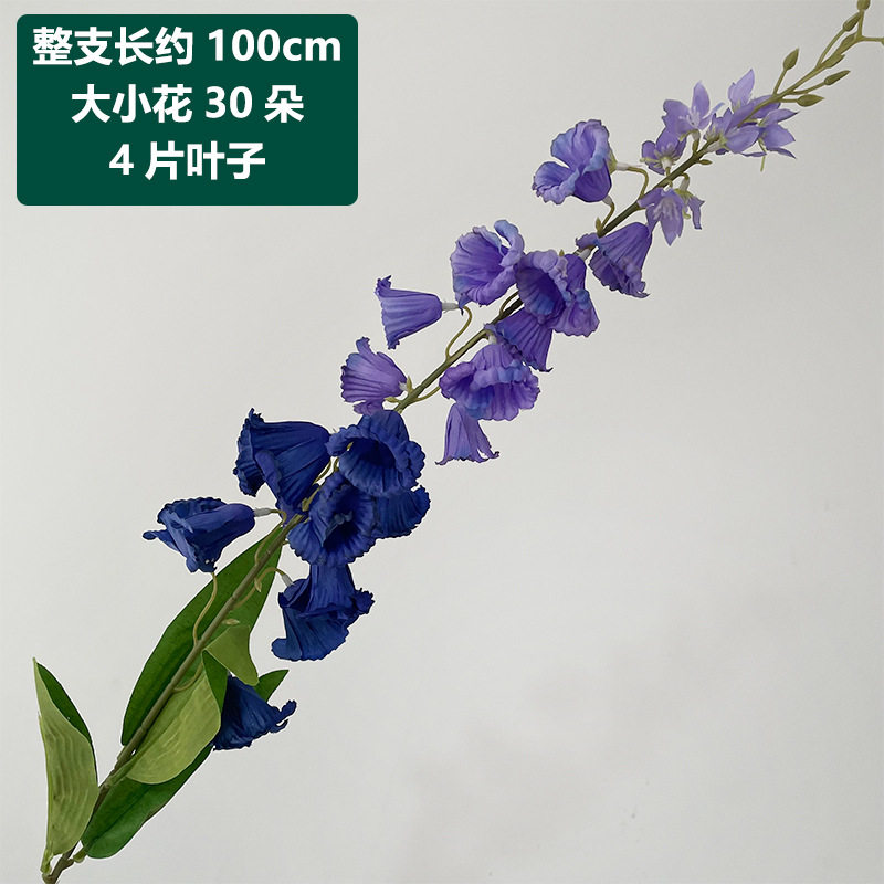 Dark purple long-branch lily of the valley