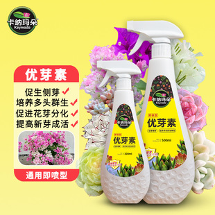 Canamaduo Yougaitin Plant Universal Nutrient Solution Fleshy Bougainvillea Golden Marbles Sprout Promoting Sprout Foliar Fertilizer