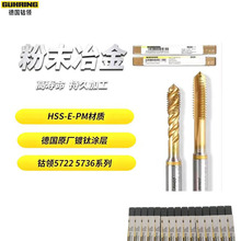 GUHRING��I��ĩ�ν��������z�F �{�|��ȶ�⁺Ͻ�z��M5*0.8