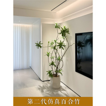 ���羰Ʒ�ٺ������Gֲ�҃ȿ͏d�����٘仨����������Է��滨