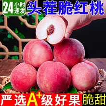 现货桃子新鲜大果水蜜桃现摘当季时令水果应季整箱脆桃毛桃甜桃