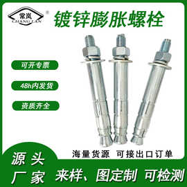 自切螺丝 高强度镀锌膨胀螺栓 单双管后扩底锚栓全螺纹