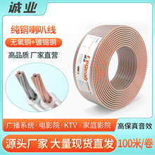 SֱN\I200o~ýyȾ300~̌푾