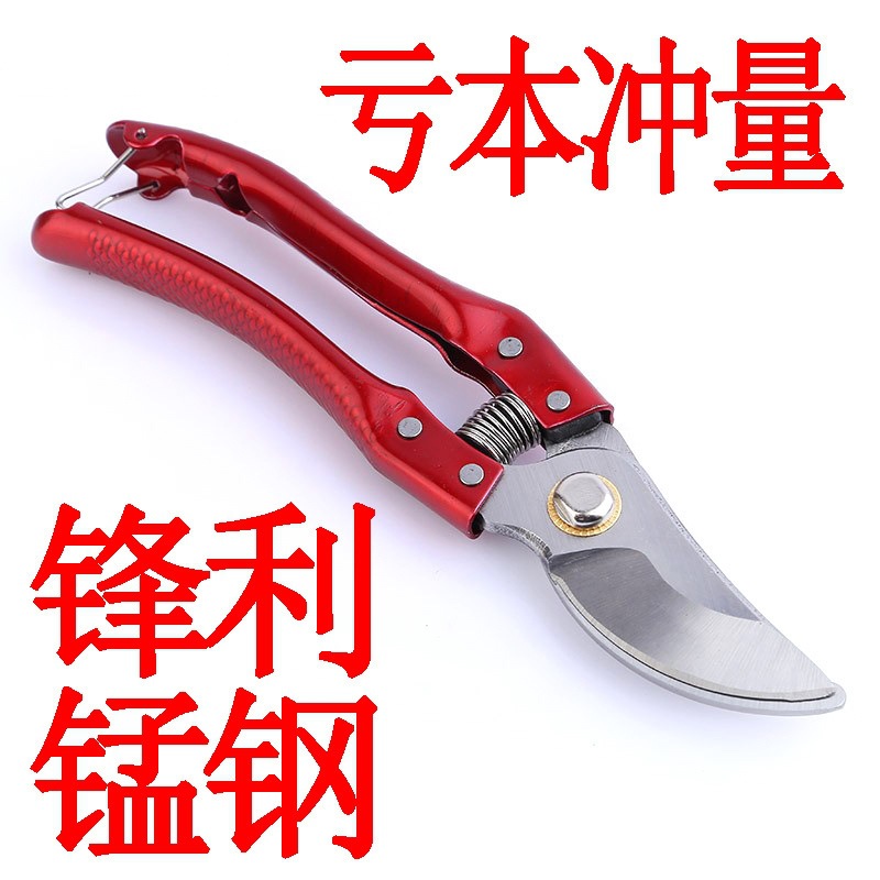 修枝剪刀园林花艺修剪树枝果树粗大花剪园艺剪子工具葡萄整枝