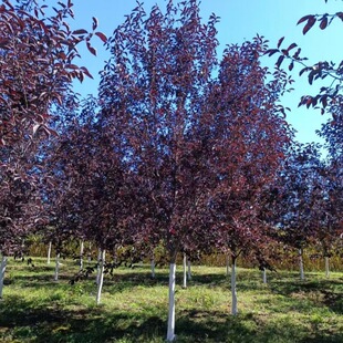 ���� ���~������� �������~�������~ ����ռ�ؘ� ���~����^��