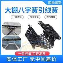 ���Ҵ���������P䓰��ֻ��p�h��Ĥ�����h�Ӵֺ�ɫ�����ɷ��L�h��