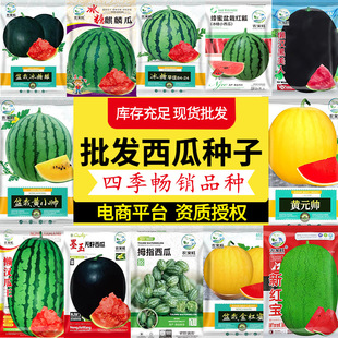 ���l���ϷN�Ӵ�ȫ�������ϱ������8424����С�����Sȿ�YƷ�ϷN��