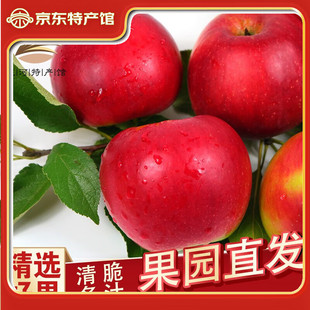 �r�˹��@ֱ�l�|���Ϙ�t���O���������r�O�����SԪ���t��ʿ ����