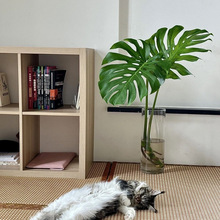 �����_���Ϙ������񎧸�����ˮ�Bˮ�����Գ���ȩ�k���ҿ͏d�Gֲ��