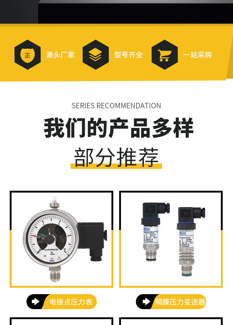 威卡(WIKA)隔膜压力变送器IS-3系列个威卡传感器-阿里巴巴