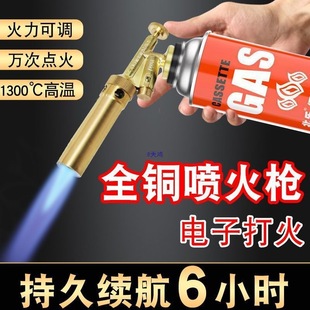 ������yʽ��ʽ�t��އ��𘌑���Һ��ȼ��ƿ��˹���wСú���